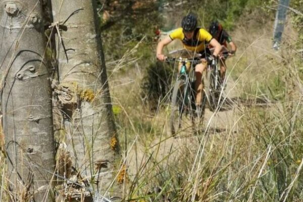 NOTICIAS FCOC | 2 DIES DE CATALUNYA DE MTBO